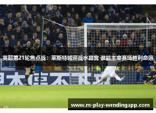英超第21轮焦点战：莱斯特城迎战水晶宫 谁能主宰赛场胜利命运