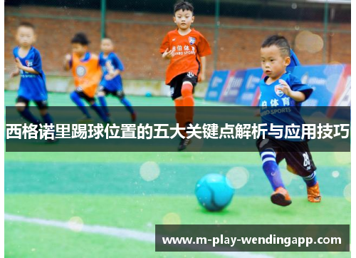 西格诺里踢球位置的五大关键点解析与应用技巧