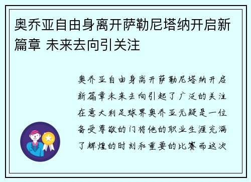 奥乔亚自由身离开萨勒尼塔纳开启新篇章 未来去向引关注